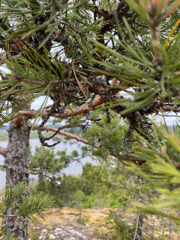 Деревенский дом у озера