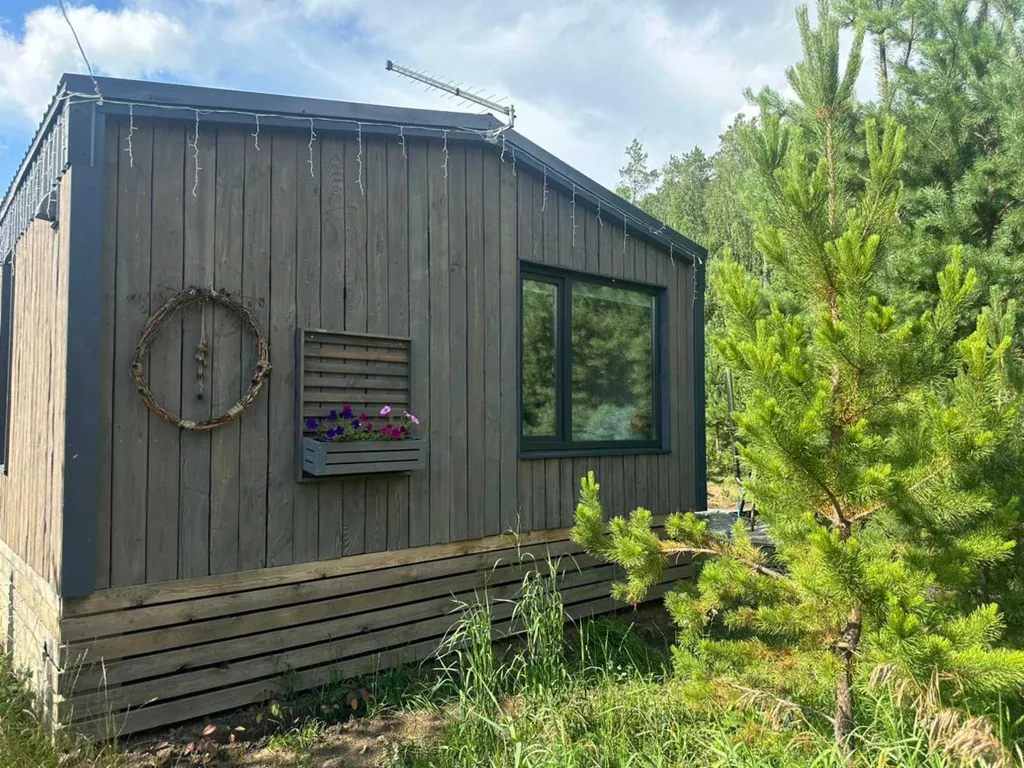 Темный домик на опушке леса