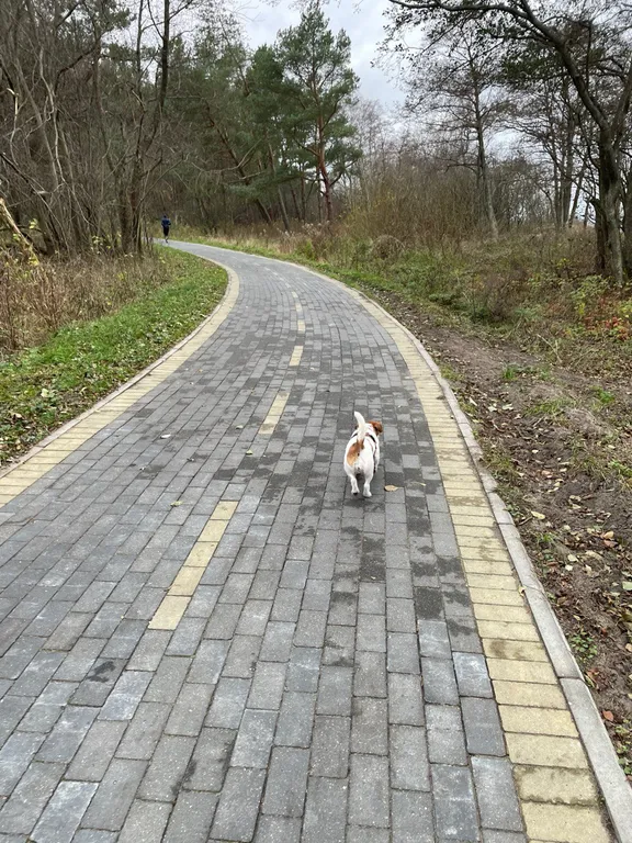 Дом на берегу моря