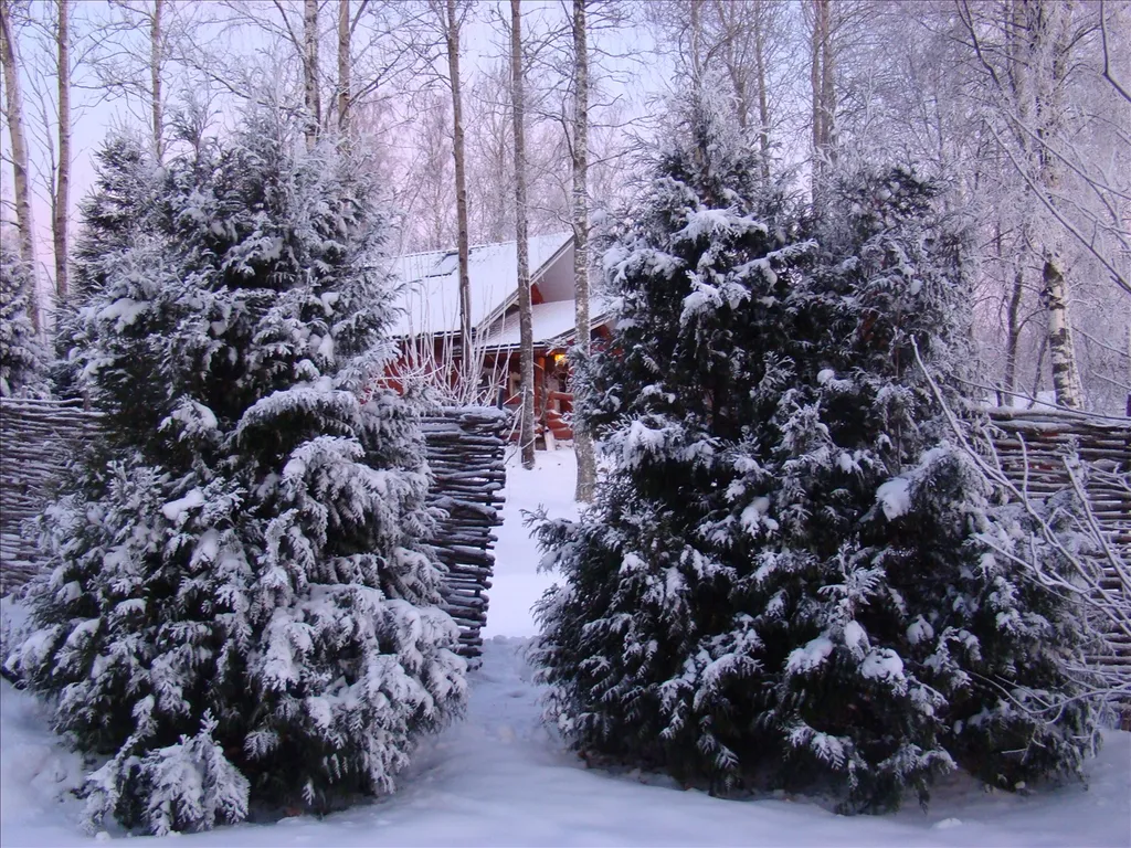 Коттедж у горнолыжного курорта Игора