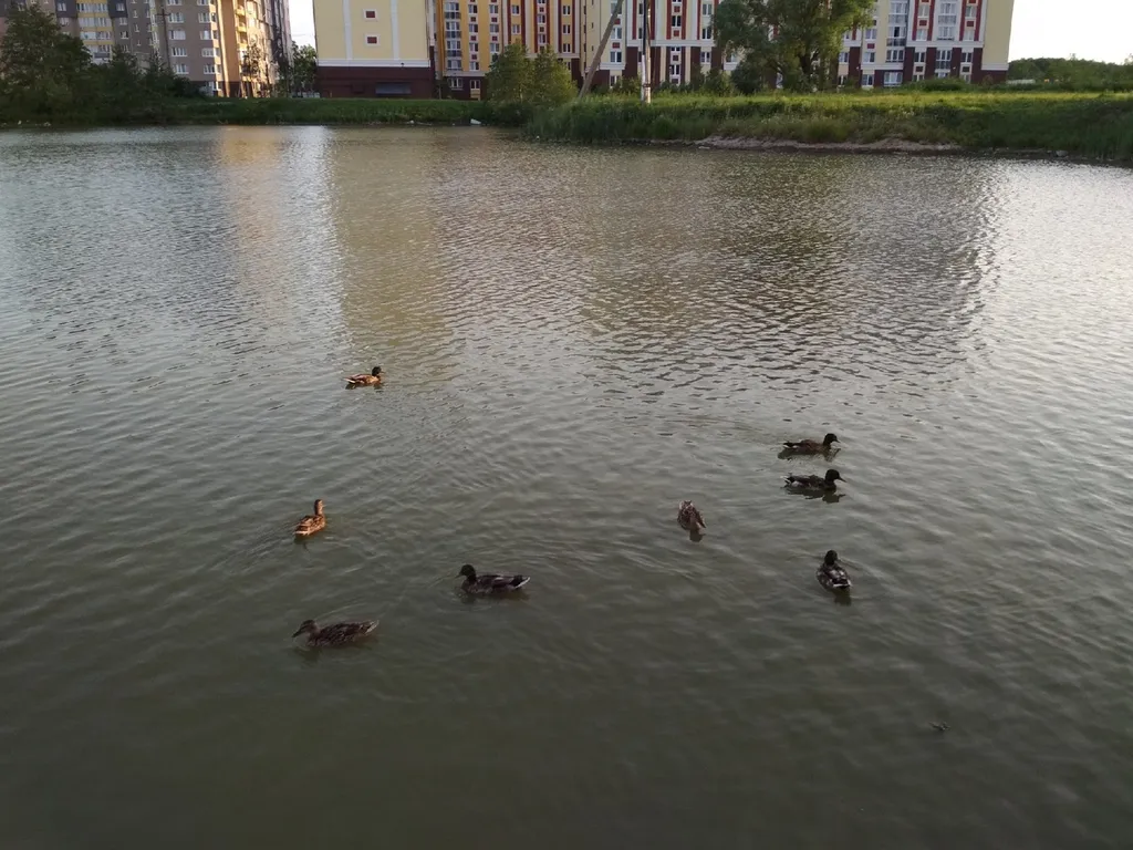 Уютная студия ждет гостей