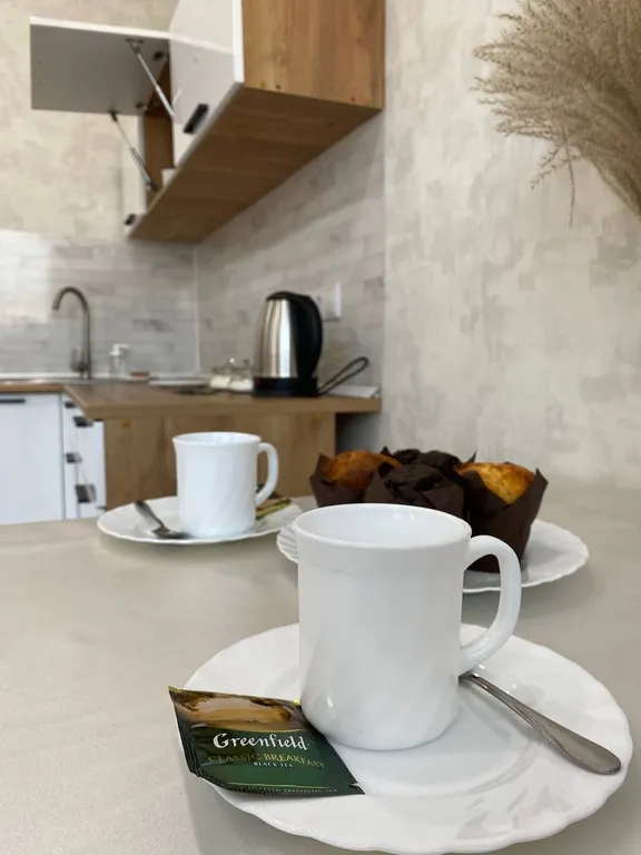 Уютная студия с видом на горы