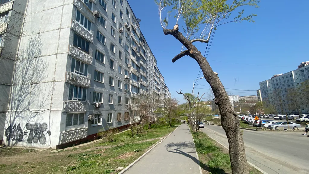 Квартира 2-комнатная Квартира — Владивосток