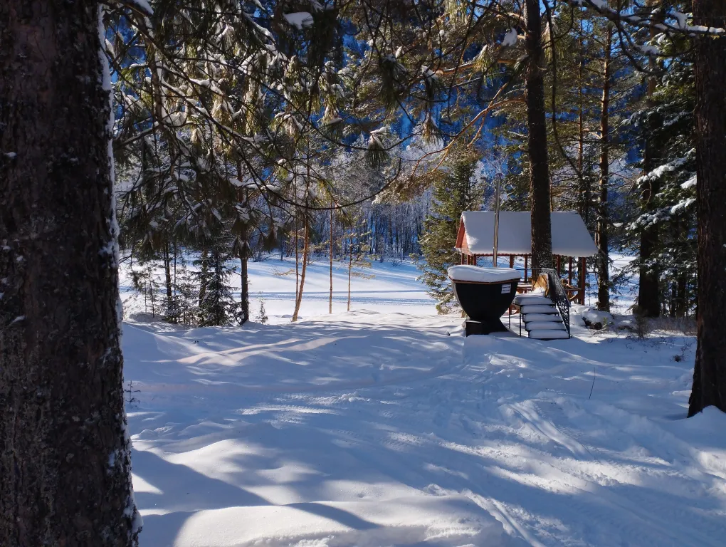 2х этажный коттедж, в зимнем лесу на берегу реки — аренда посуточно в Артыбаш