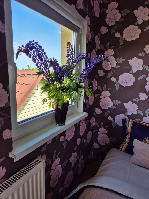 Коттедж Дом вашей мечты у моря — Сокольники