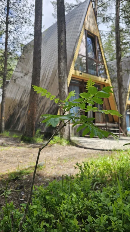 3-комнатный Дом