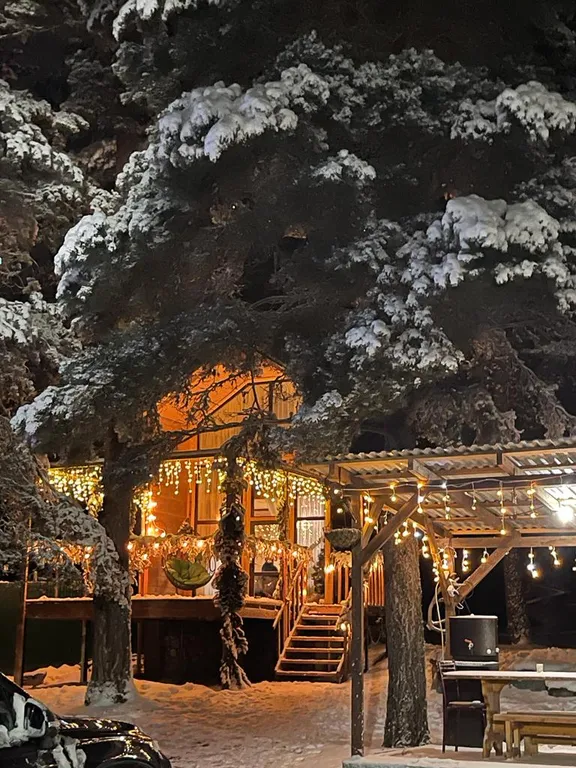 Двухэтажный барнхаус в сердце леса