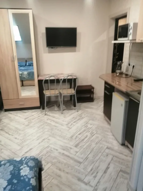 Квартира Квартира Студия в Олимпийском парке — Сириус