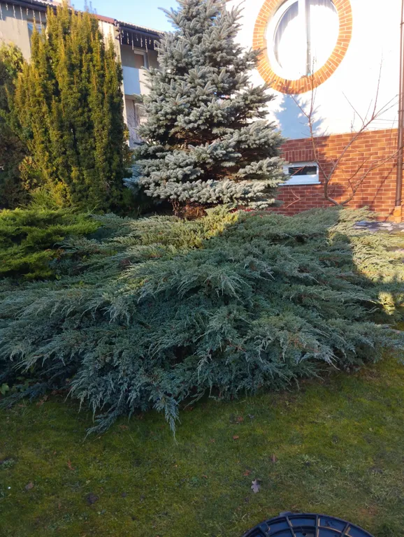 Мечта туриста