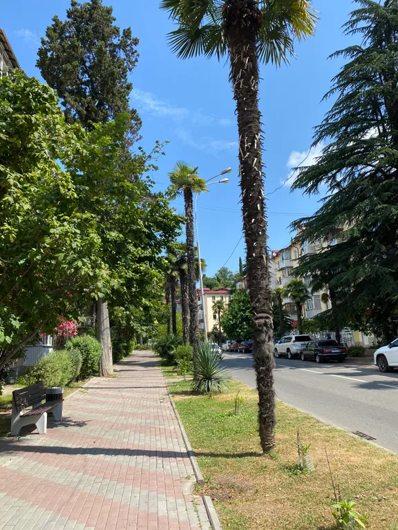 Уютная квартира