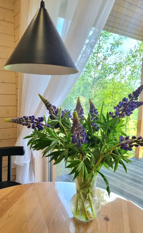 Коттедж Новый коттедж. Сауна и виды на природу-бесплатно — Санкт-Петербург