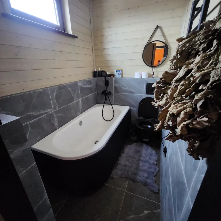 Дом с сауной на озере