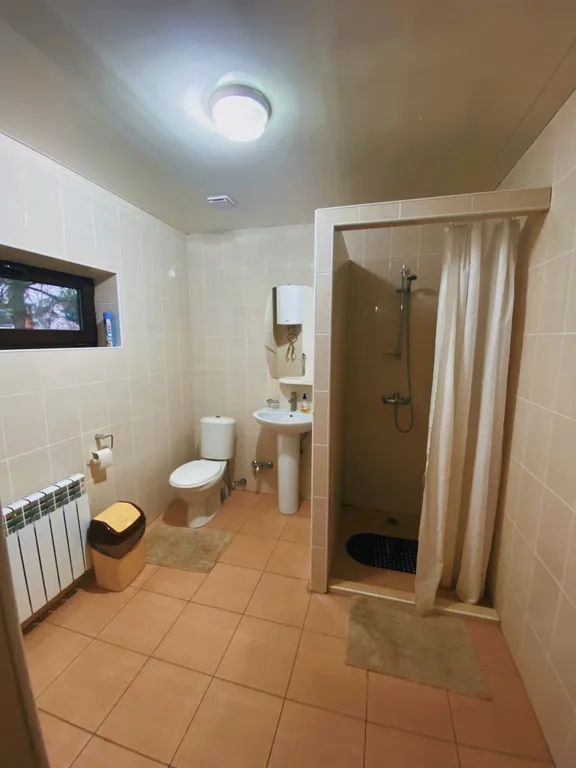 Дом в сосновом бору на берегу реки