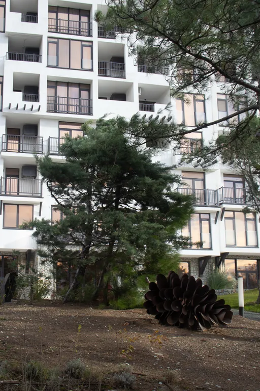 Видовая студия в КК Лучистое