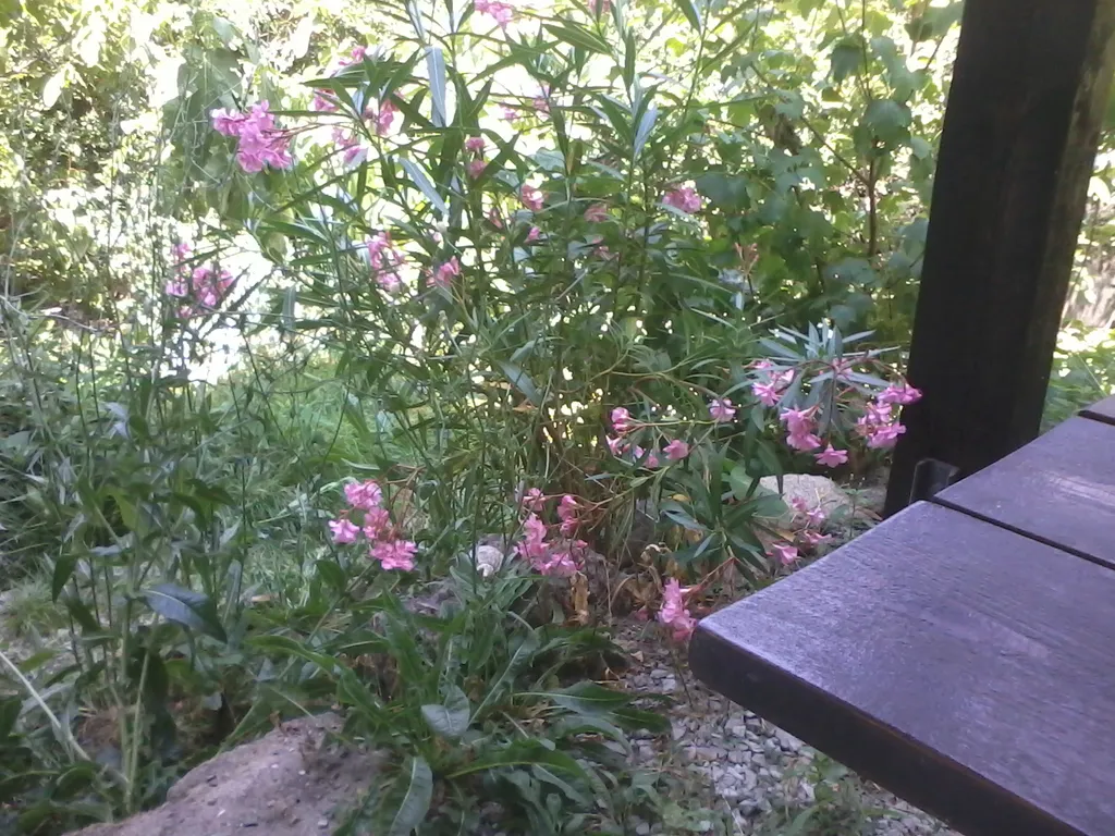 Коттедж Целый этаж в частном доме со своим садом и парковкой — Ялта