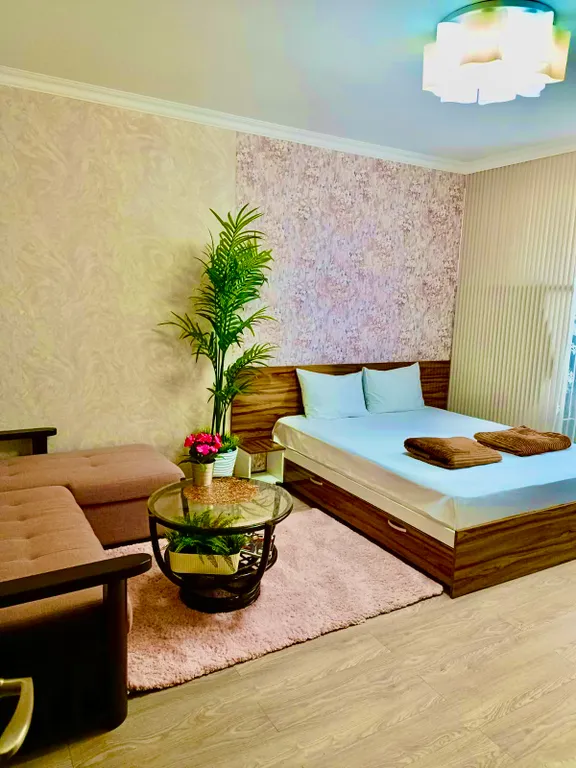 Уютный апартамент в центре города