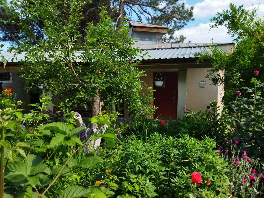 Дом в Красном Раю