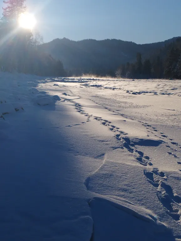 2х этажный коттедж, в зимнем лесу на берегу реки