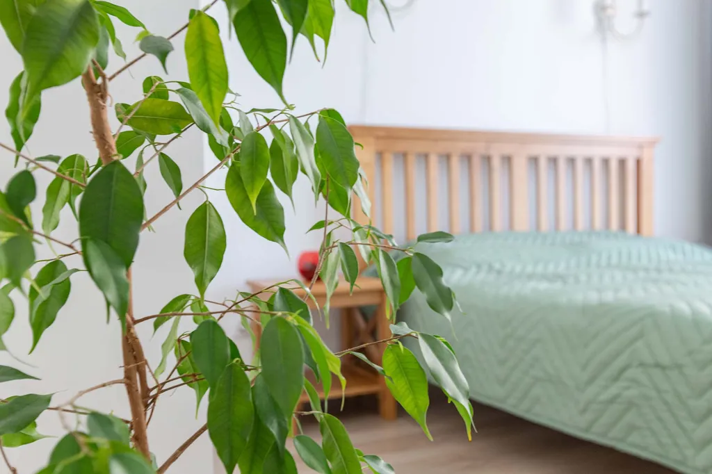 Улучшенный просторный апартамент у метро Котельники