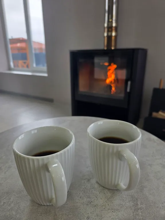 Просторный дом с собственной территорией и настоящим камином