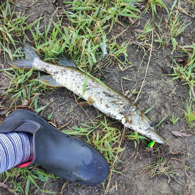 Уютный коттедж №2 у реки