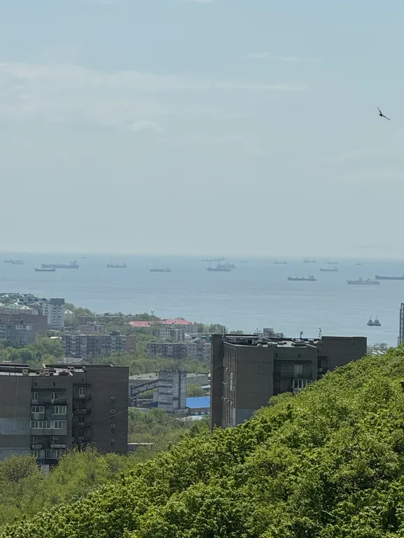 Квартира Новая квартира с красивым видом на лес и море — Владивосток