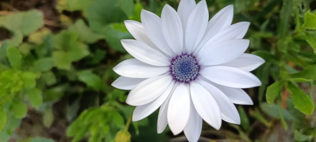 Двухкомнатные апартаменты на берегу моря