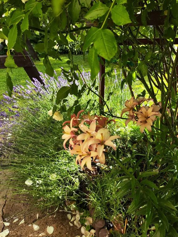 Дом для отдыха Майя возле моря