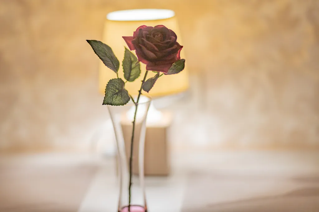 Квартира Светлая квартира с шикарной кроватью и беспружинным жестким матрацем — Ярославль