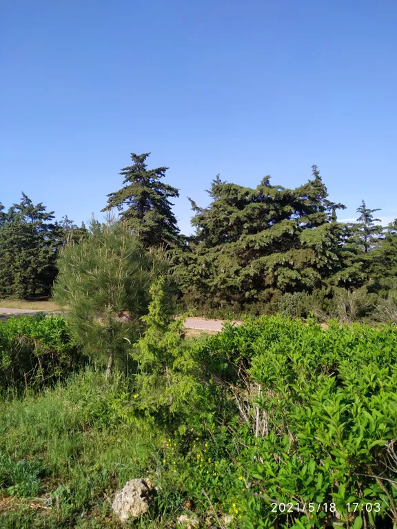 Уютная студия у моря в парке Победы