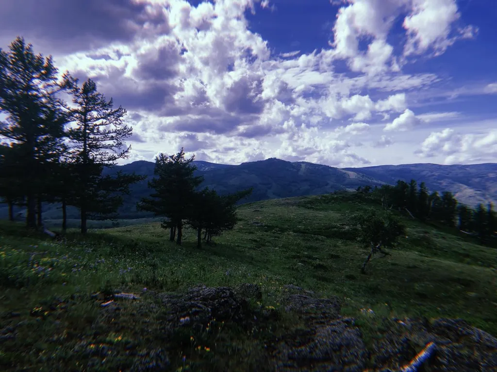 Апартаменты ЖК Алтынай