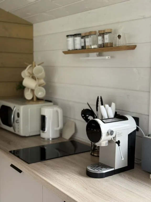 Новый панорамный дом