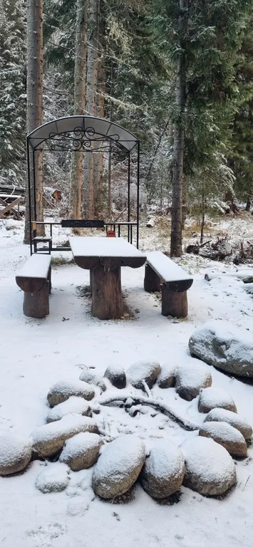 Дом на Алтае