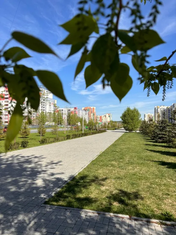 Апартаменты на Тополиной аллее с отдельной кухней