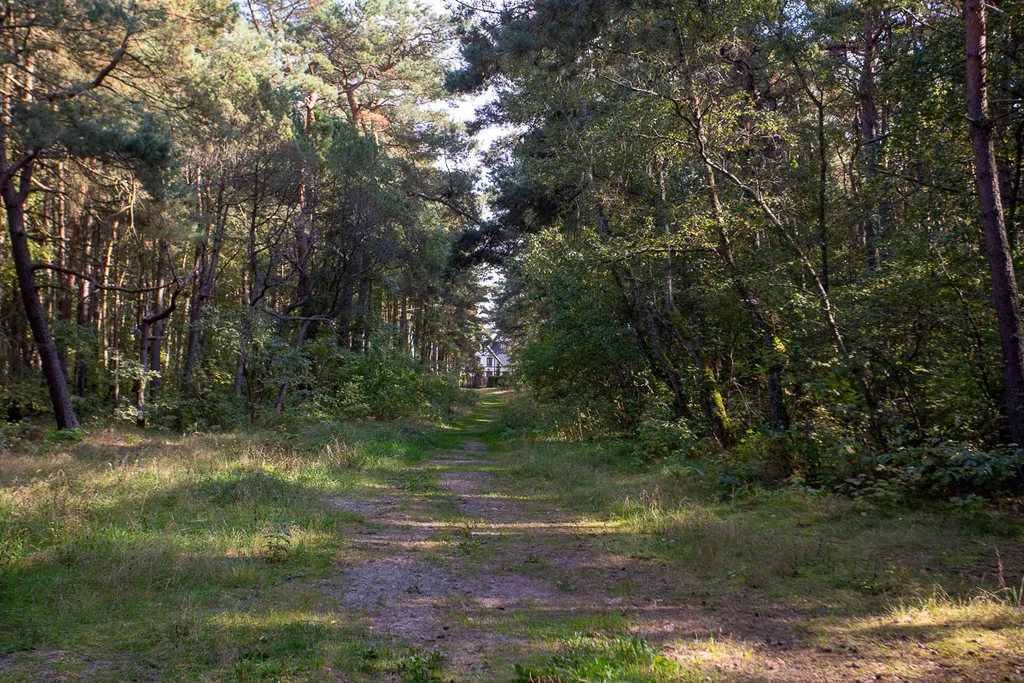 Дом с сауной и теплым бассейном
