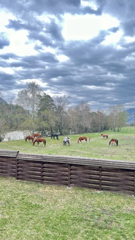 Уютная комната, 1 на берегу реки Катунь