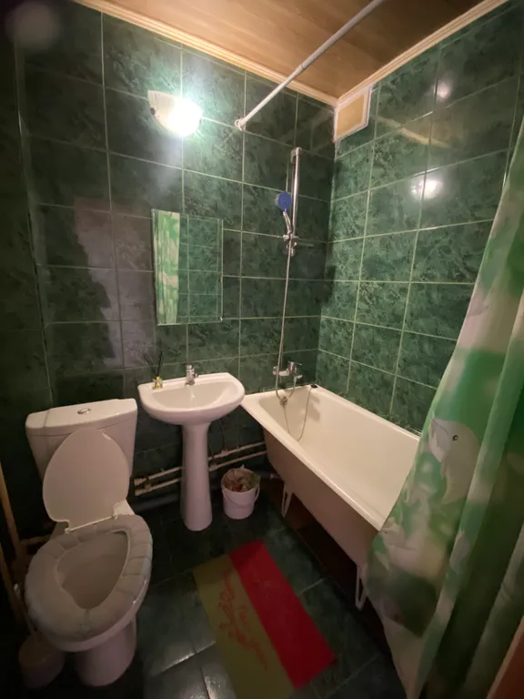 Квартира в центре левого берега