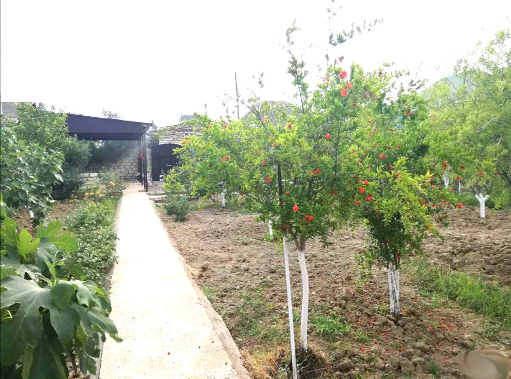 Загородный дом