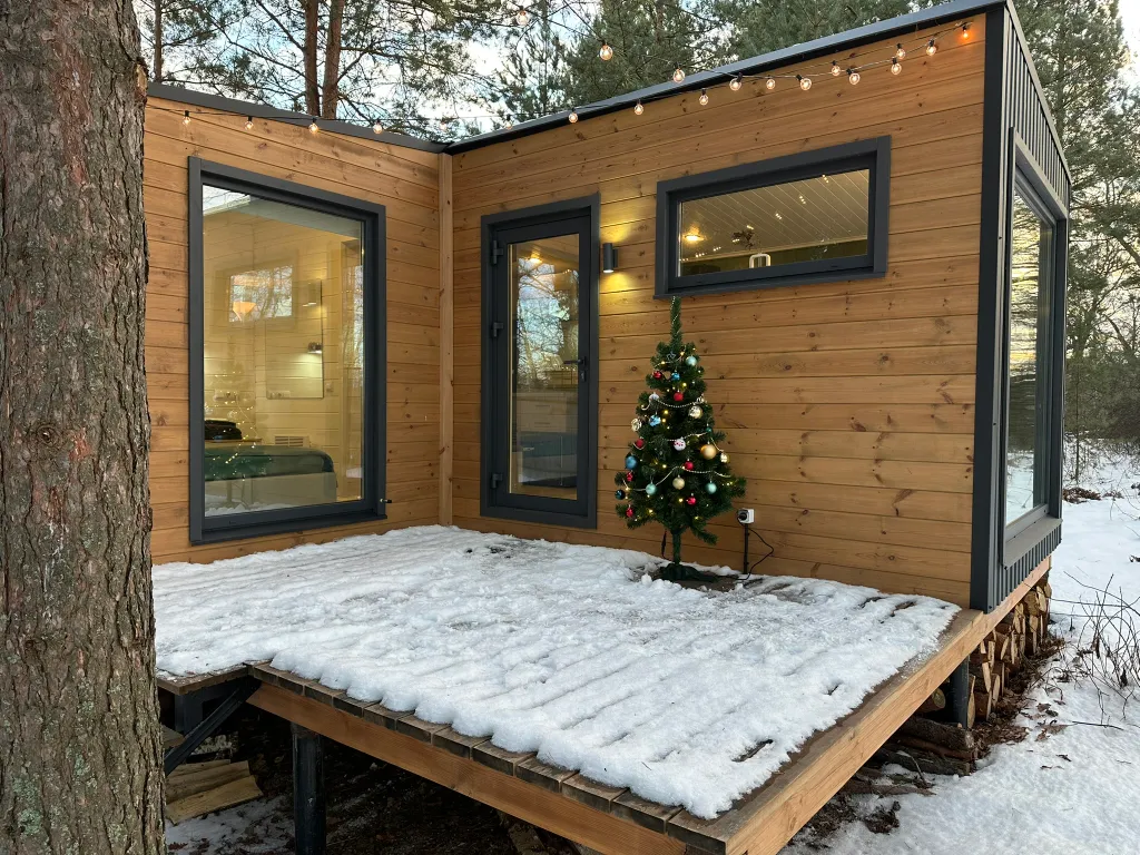 Дом Скандинавия Лес