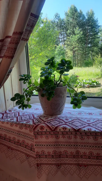 Домик Уют Самана в Родовом поместье в лесу