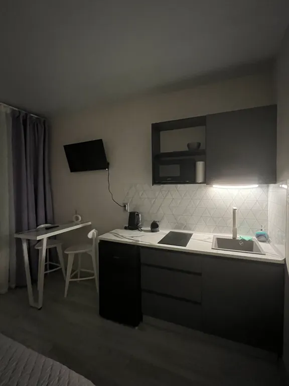 Комфорт-студия рядом с трассой м10