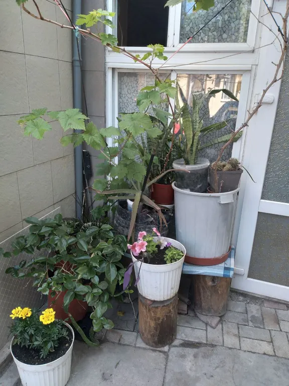 Уютный коттедж 2 минуты от моря набережная Терешковой