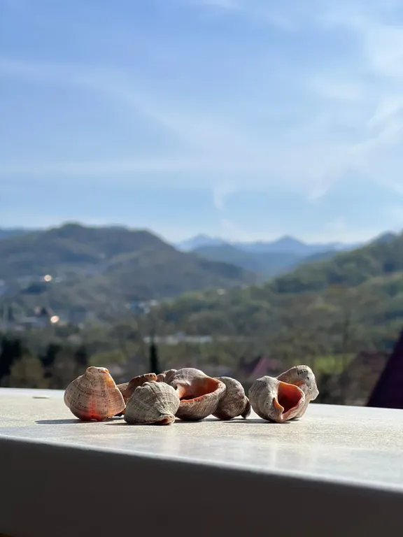 Уютный апартамент с балконом и видом на горы в Лоо Боярд