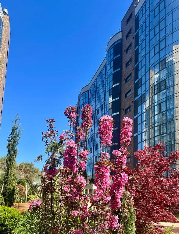 ЖК San Hills, уютная студия на берегу моря