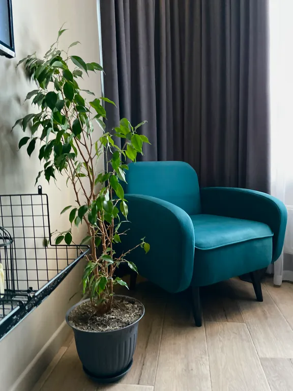 Квартира Уютный лофт-апарт в центре города — аренда посуточно в Энгельс