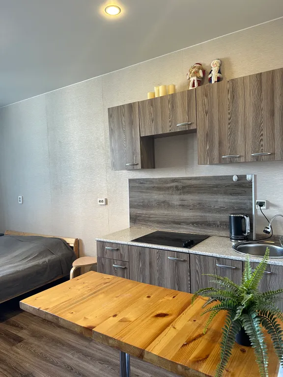 Уютная квартира у метро Девяткино видно из окна