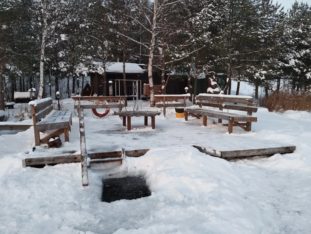 Дом в сосновом бору на озере