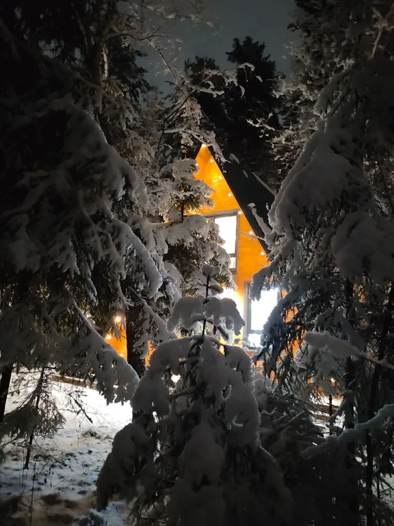 Большой уютный дом в лесу