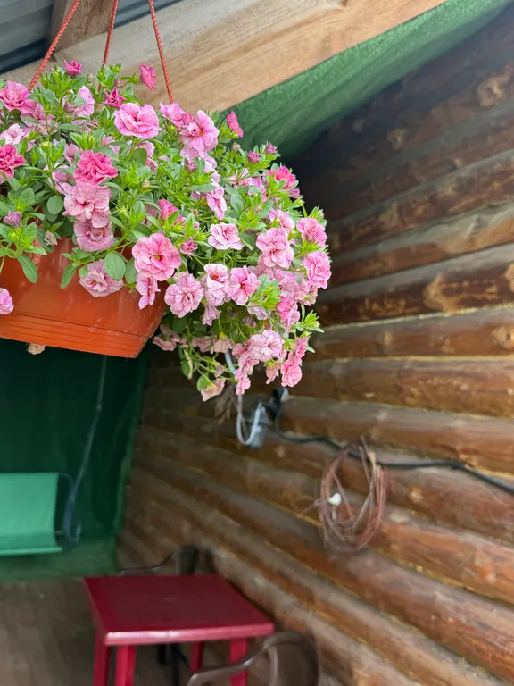 Уютный срубовой дом с баней