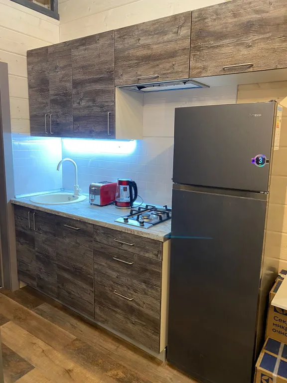 Снегири&Синички